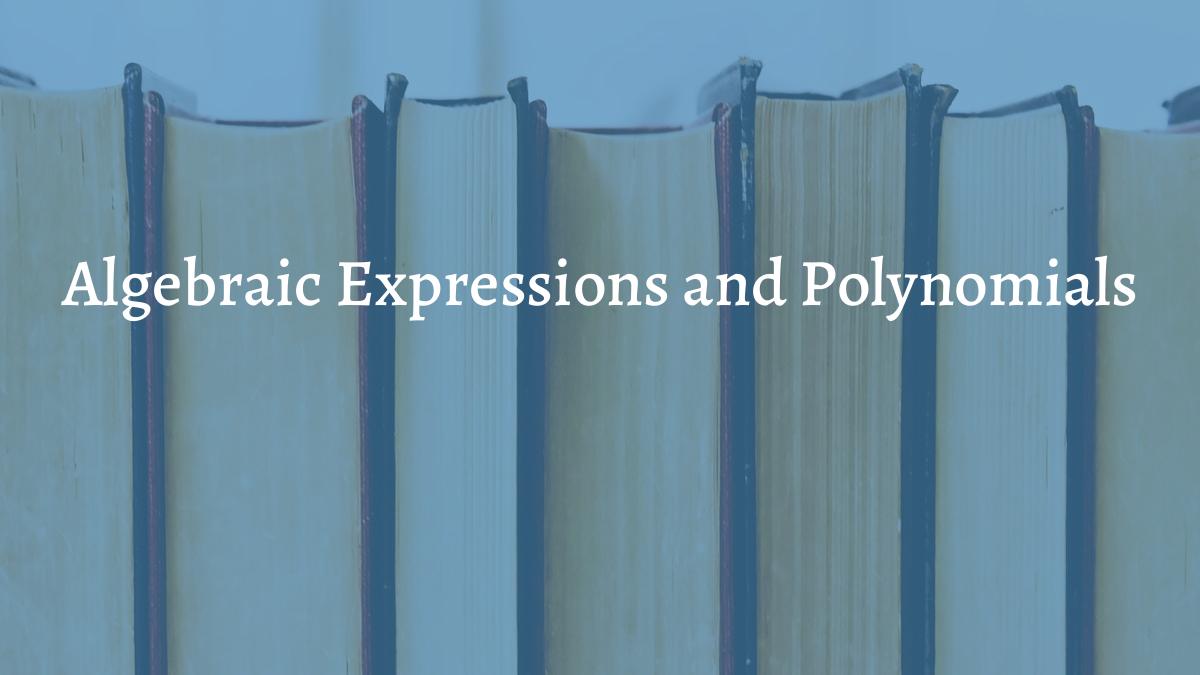 images/articles/concepts/algebraic-expressions-and-polynomials.jpg