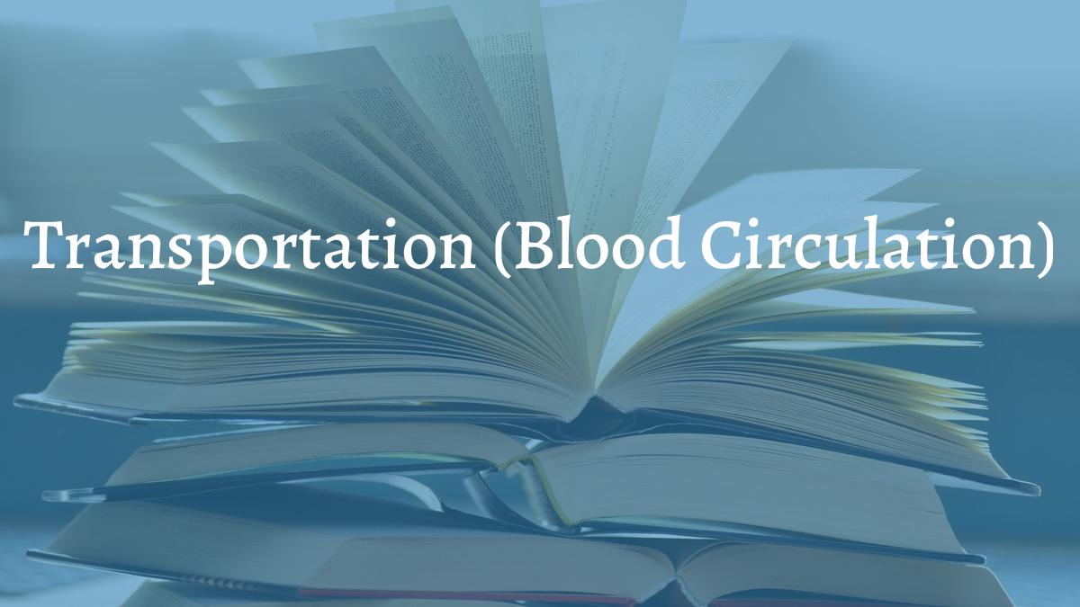 images/articles/concepts/transportation-blood-circulation.jpg